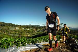 BIB: 9347, 
                            <button type="button" onclick="openModal(19121399)" class="btn btn-primary btn-sm float-right btn-popup" data-toggle="modal" data-target=".modal-high-quality">
                        <i class="fas fa-shopping-cart"></i> Add to Cart
                    </button>
                                            <button type="button" onclick="isThisMe(19121399, true)" class="btn btn-success btn-sm float-right btn-popup btn-isme hidden" data-toggle="tooltip" data-placement="bottom" title="นี่คือรูปของคุณใช่ไหม คลิกที่นี่เพื่อเอาเข้าอัลบั้ม">
                        <i class="fas fa-plus"></i> Add to album
                    </button>
                    <button type="button" onclick="isThisMe(19121399, false)" class="btn btn-warning btn-sm float-right btn-popup btn-isnotme hidden">
                        <i class="fas fa-ban"></i> Remove from album
                    </button>